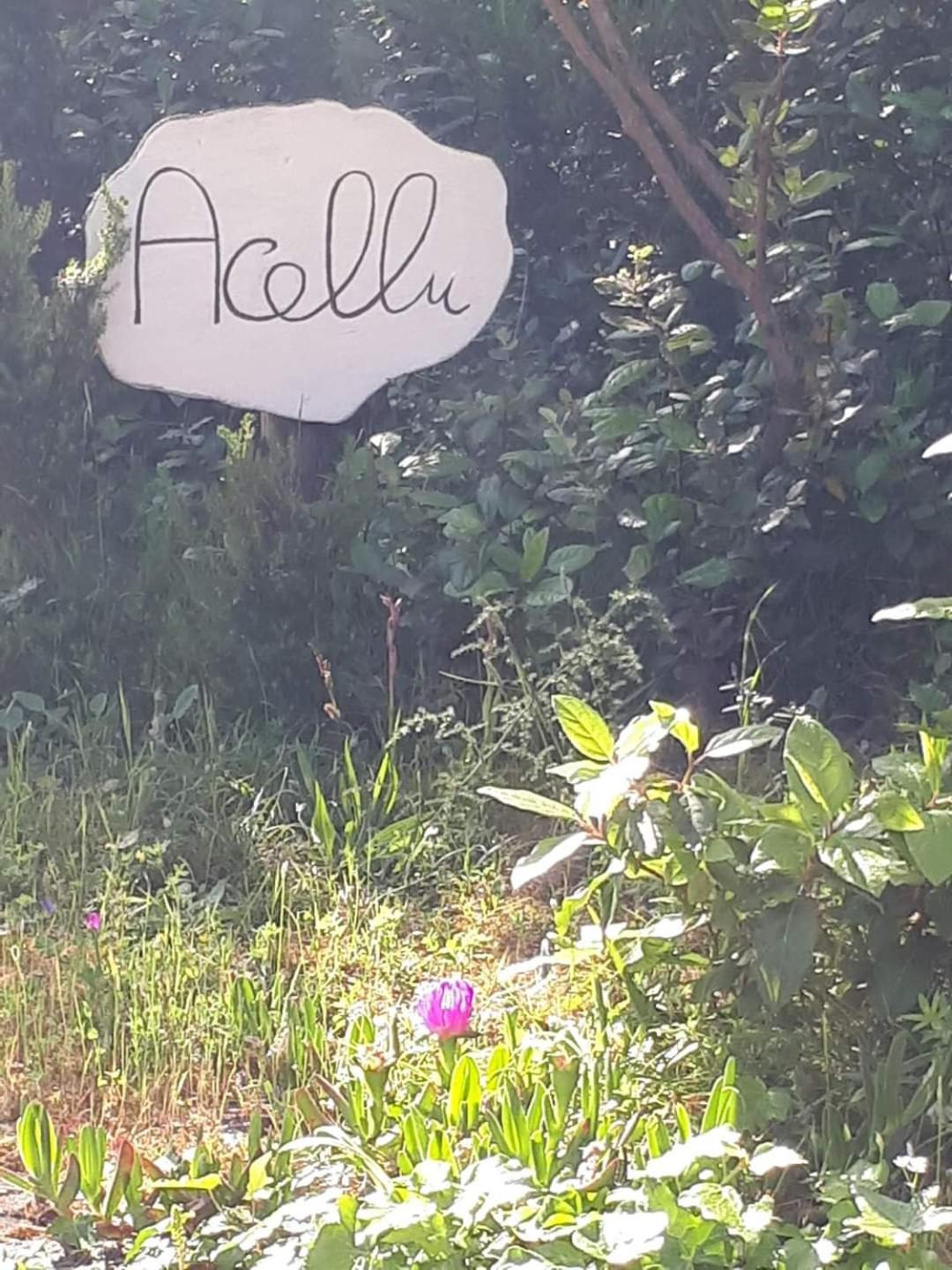 Gite Acellu Bonifacio  Eksteriør billede